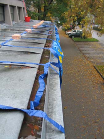 Kremsschnubi0071