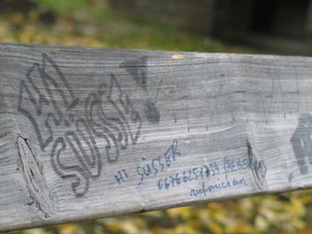 Kremsschnubi0240
